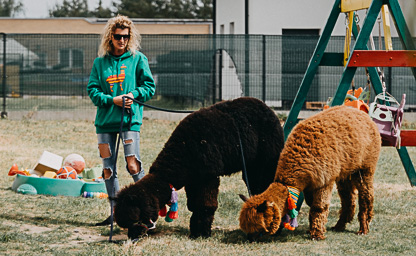 Monika Przybył właściciel oazy, gaju zaraz przy Szczecinie. Nasze Alpaki w Bobolinie
